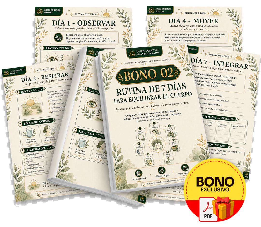 Mockup del Bono 02